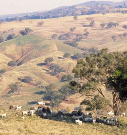The Territory of Wild Goats - page 34 Issue 27